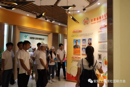 絲路新世界 青春中國夢 張掖科技中介服務(wù)調(diào)研實踐報告